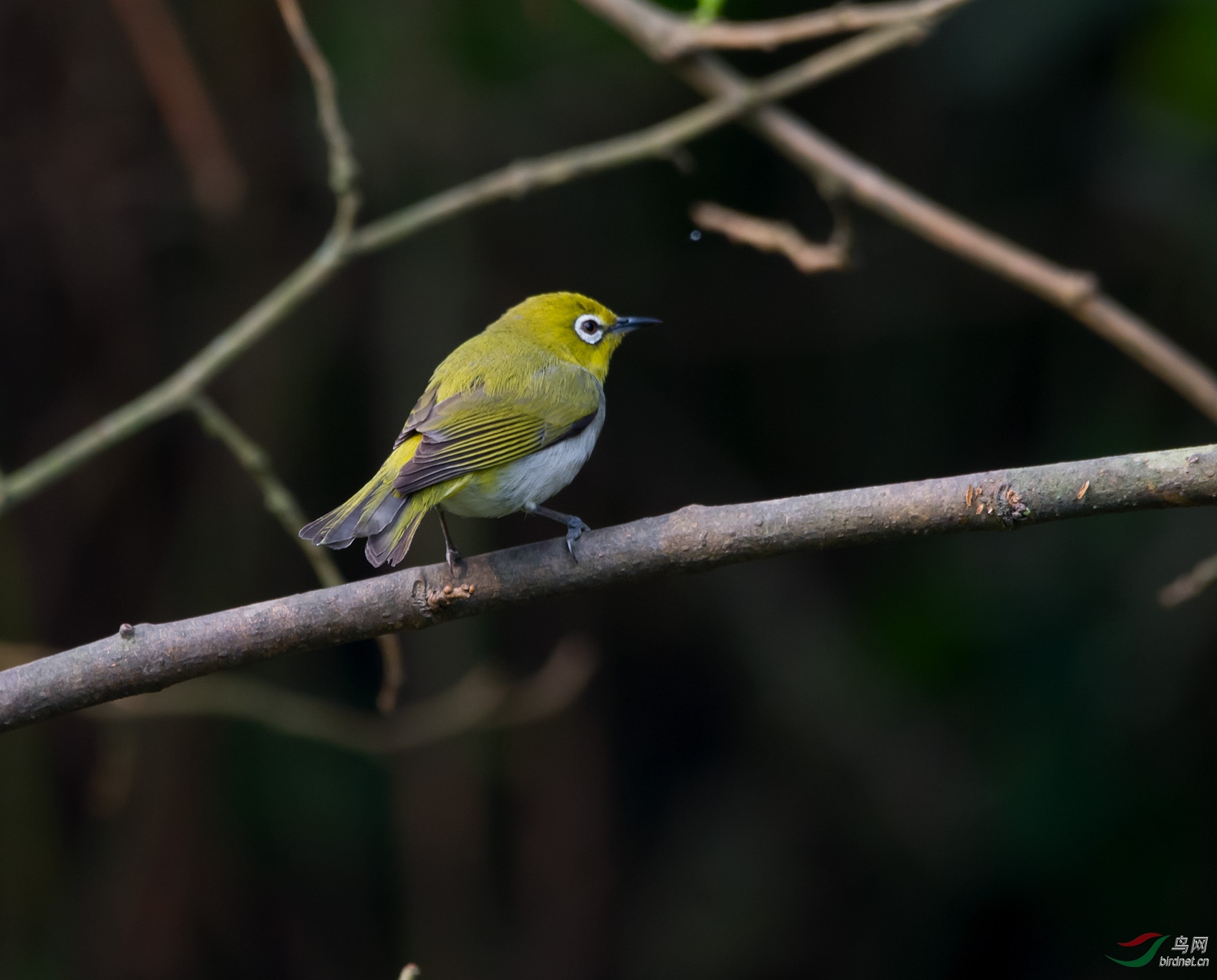 DSC_5936.jpg