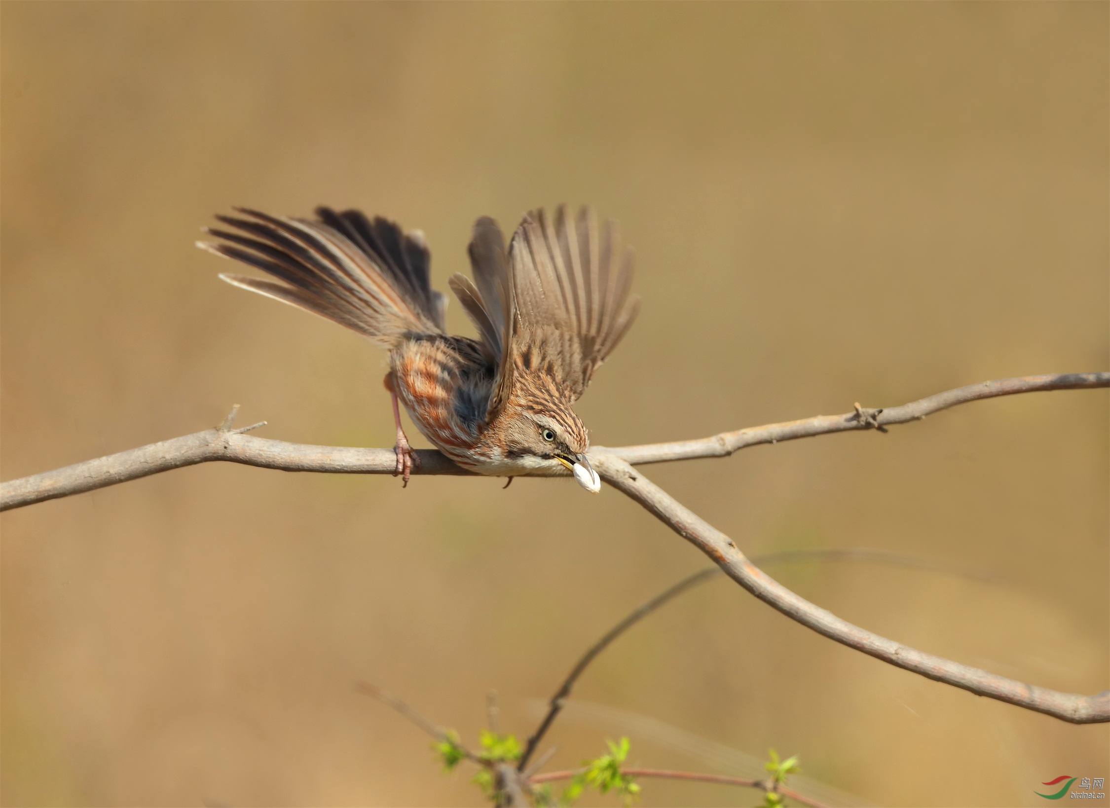 111 - ����.jpg