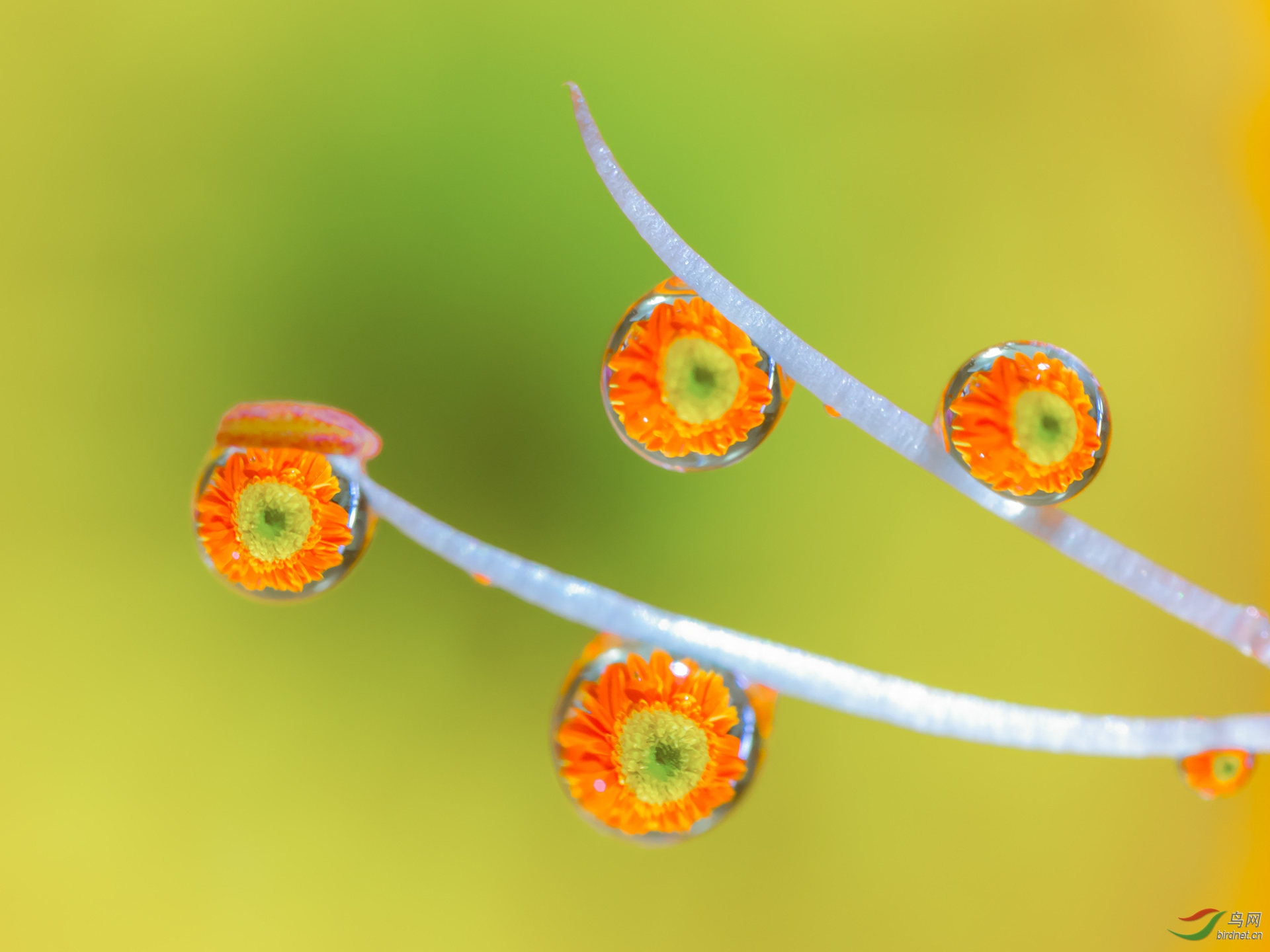 ˮ��ӳ��21-500.jpg