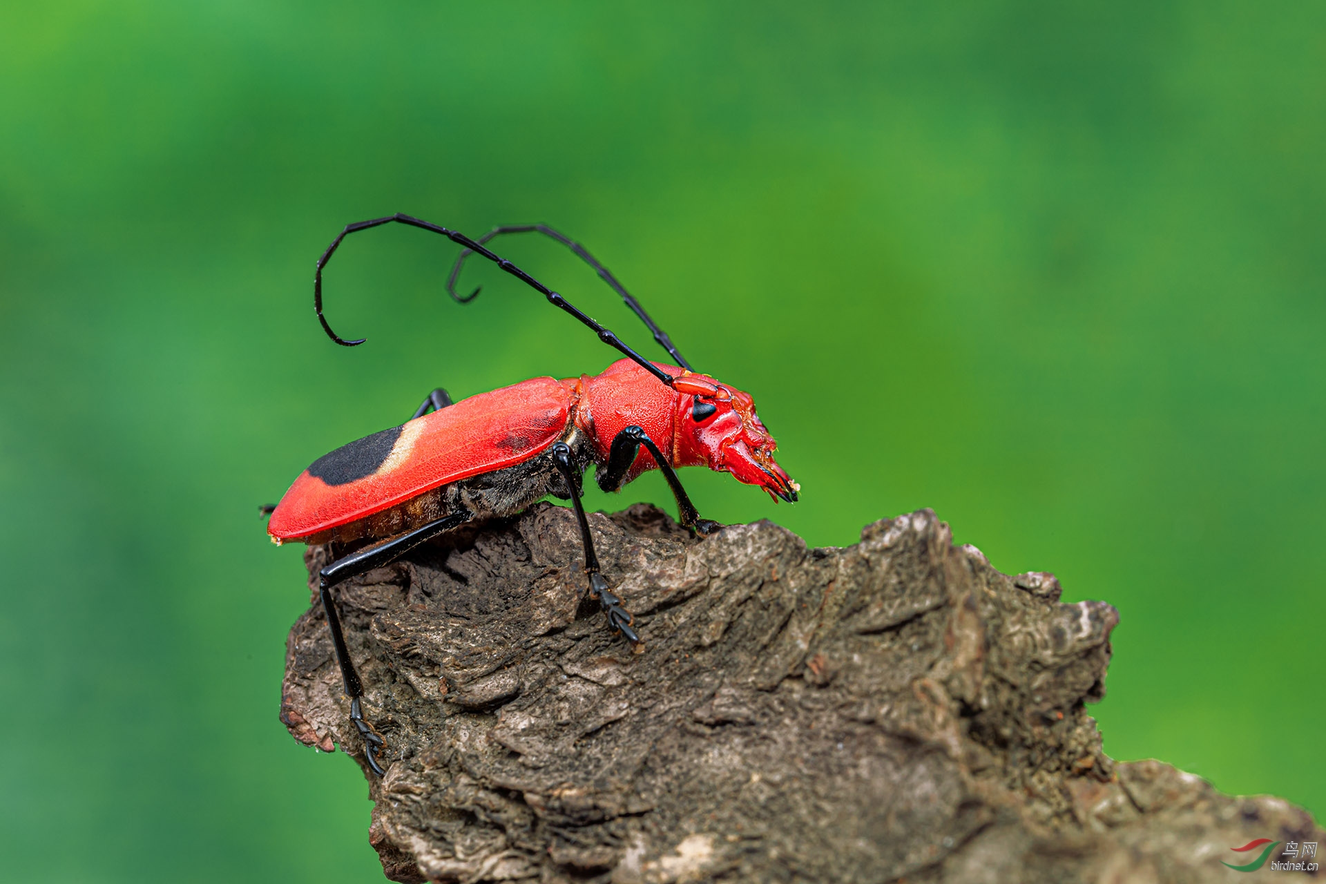 _G3A5939-1.jpg