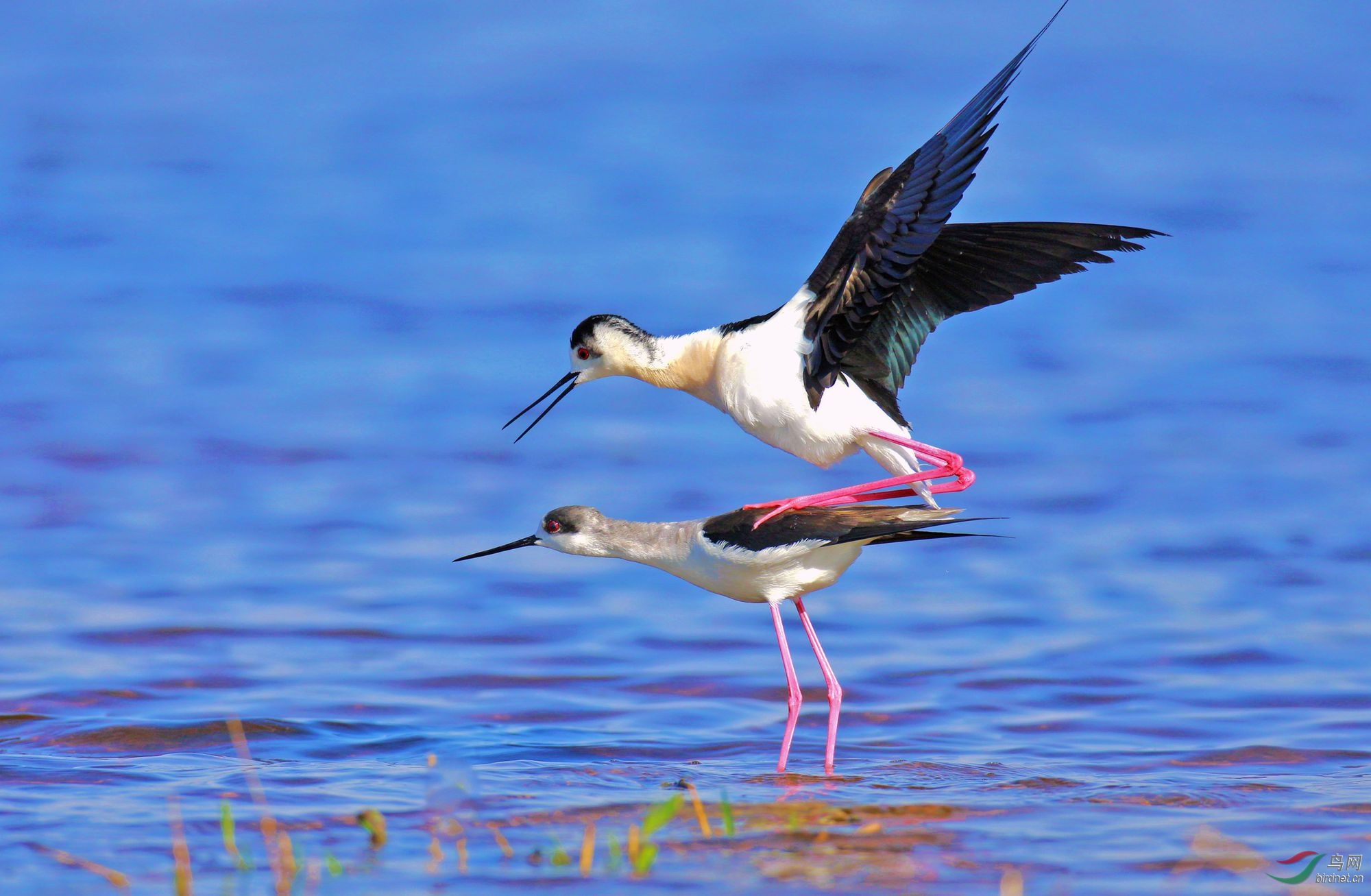 _MGL9408_2000 24.jpg