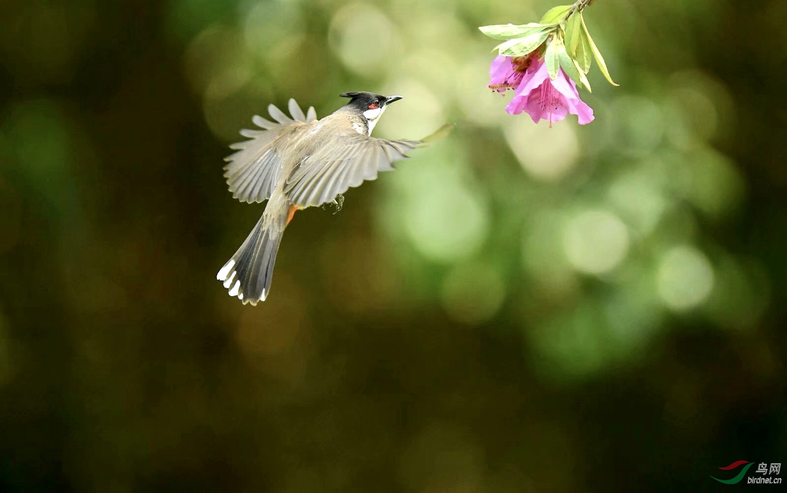 F354B355-BA53-40DD-9793-EB80B797D2C0.jpeg
