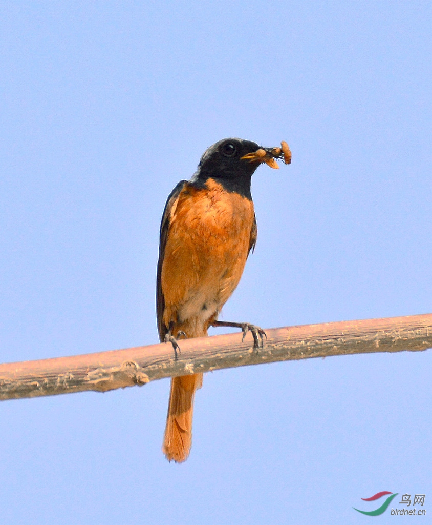 DSC_9002.JPG