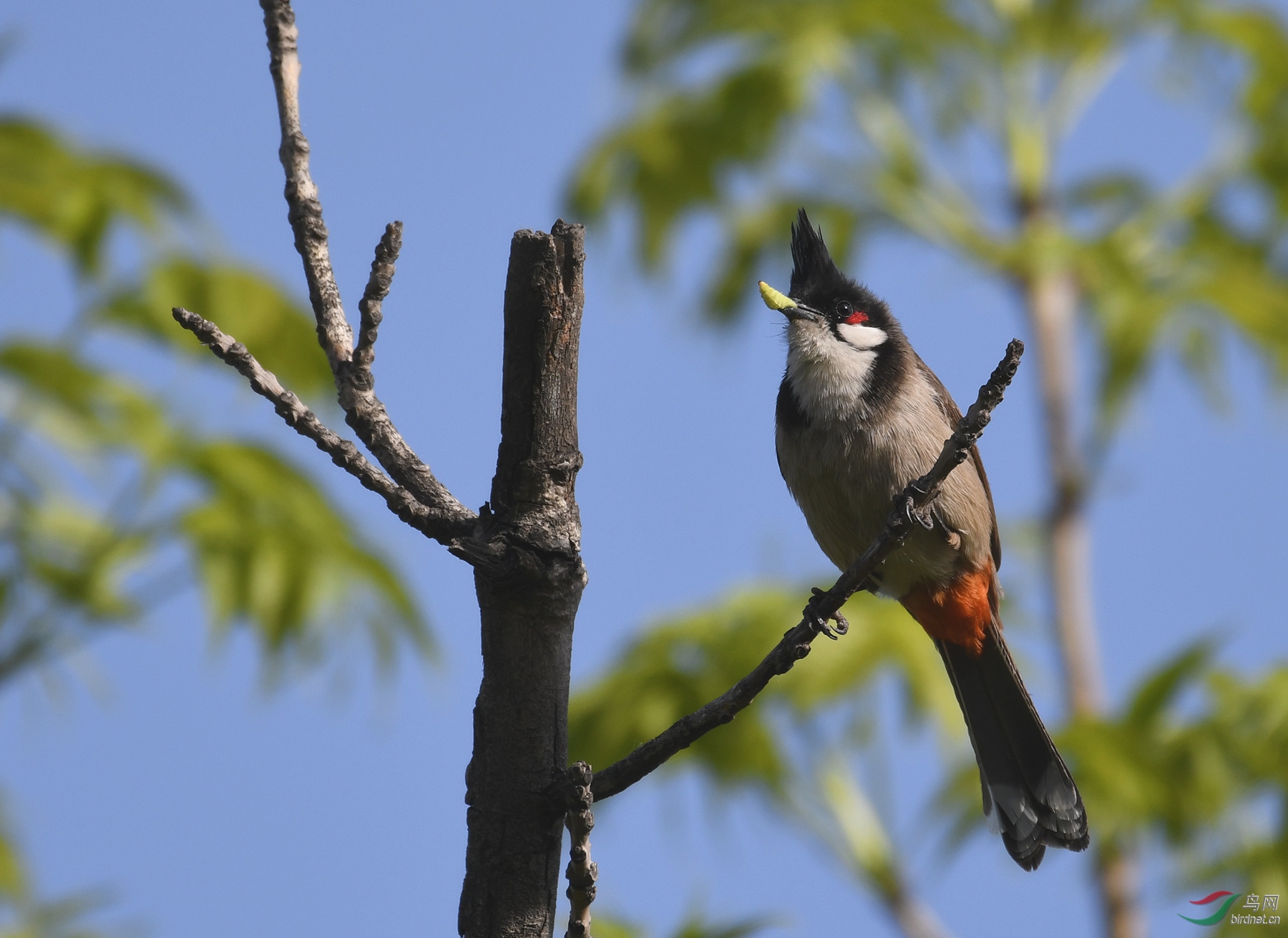 ������Ӱ 3715����.jpg