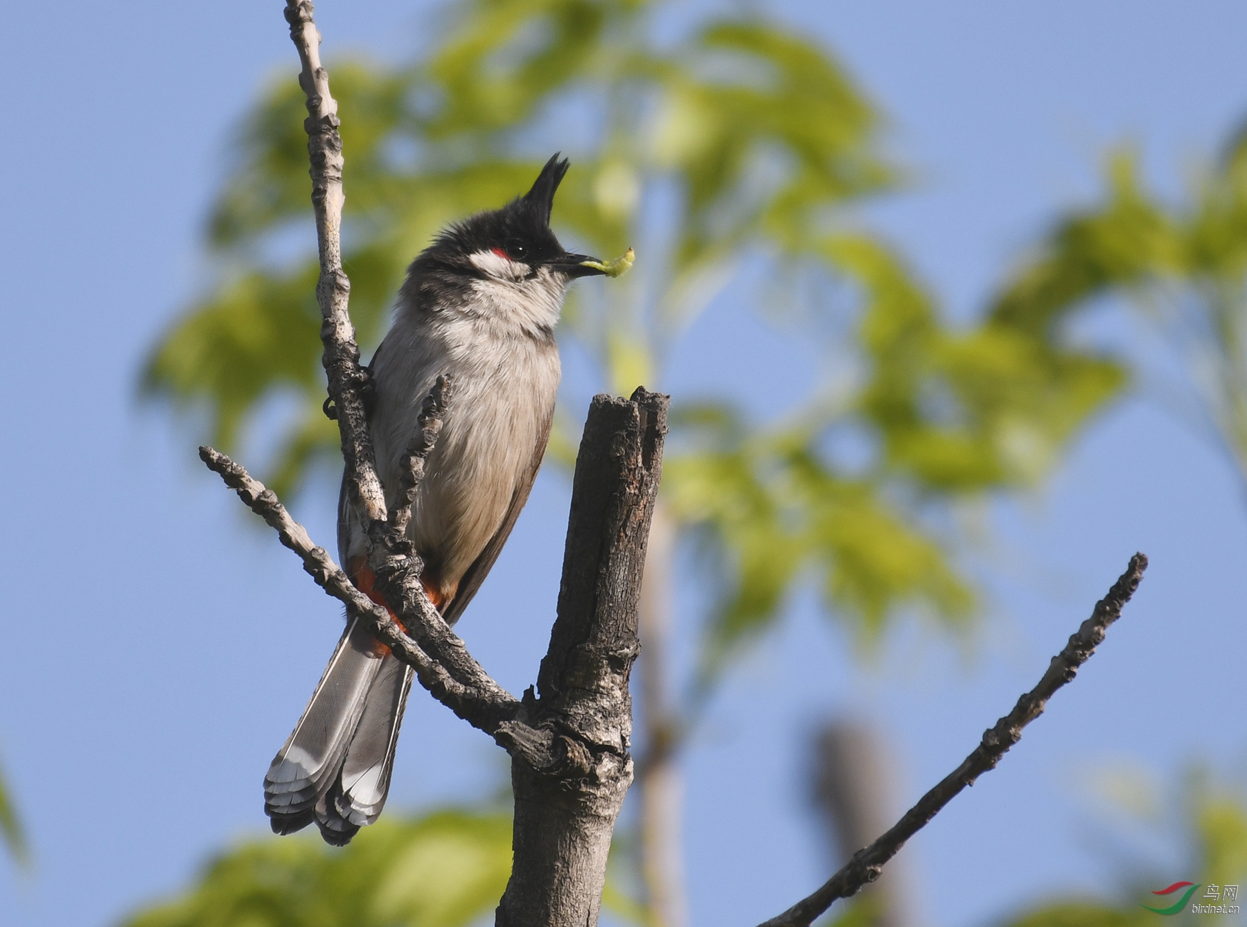 ������Ӱ 3672����.jpg