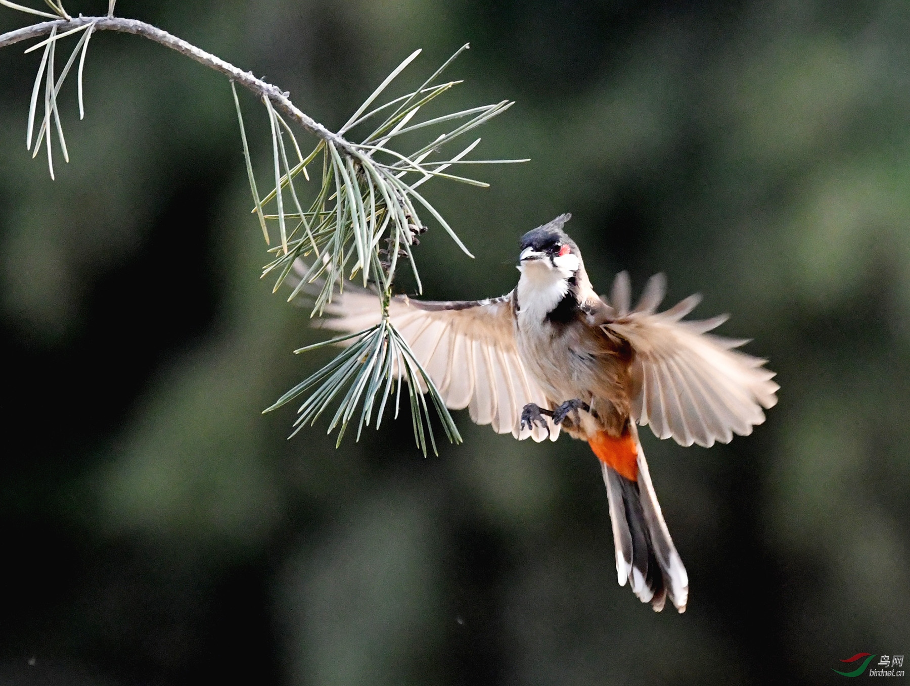 ������Ӱ 3904����.jpg