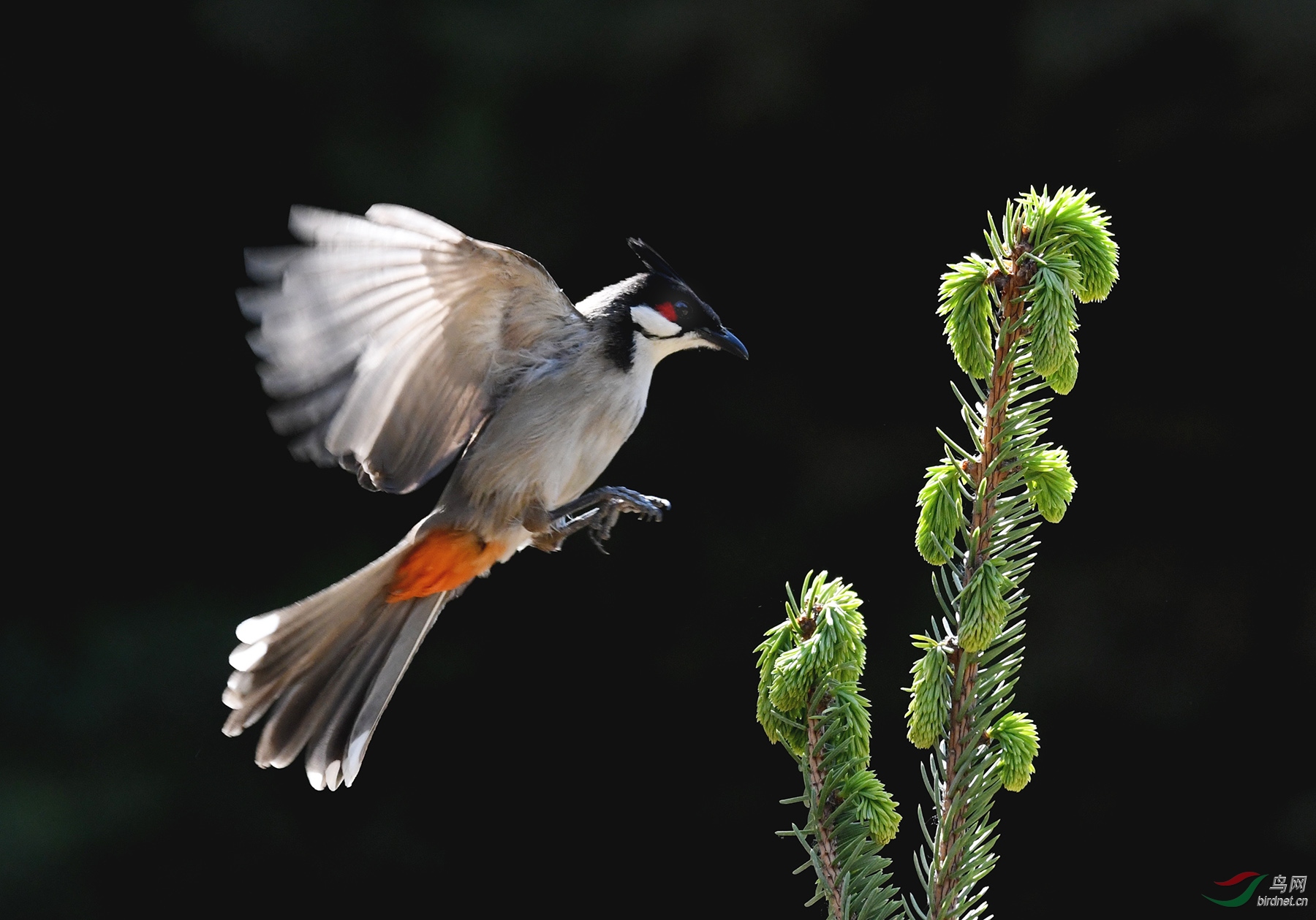 ������Ӱ 3413����.jpg