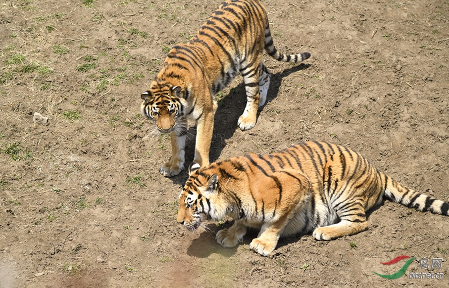 _DSC8826_00001-p-02.jpg