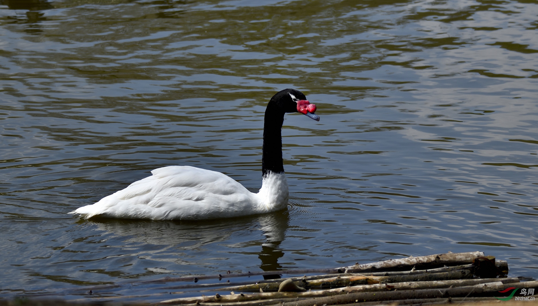 _DSC8689_00001-p-02.jpg