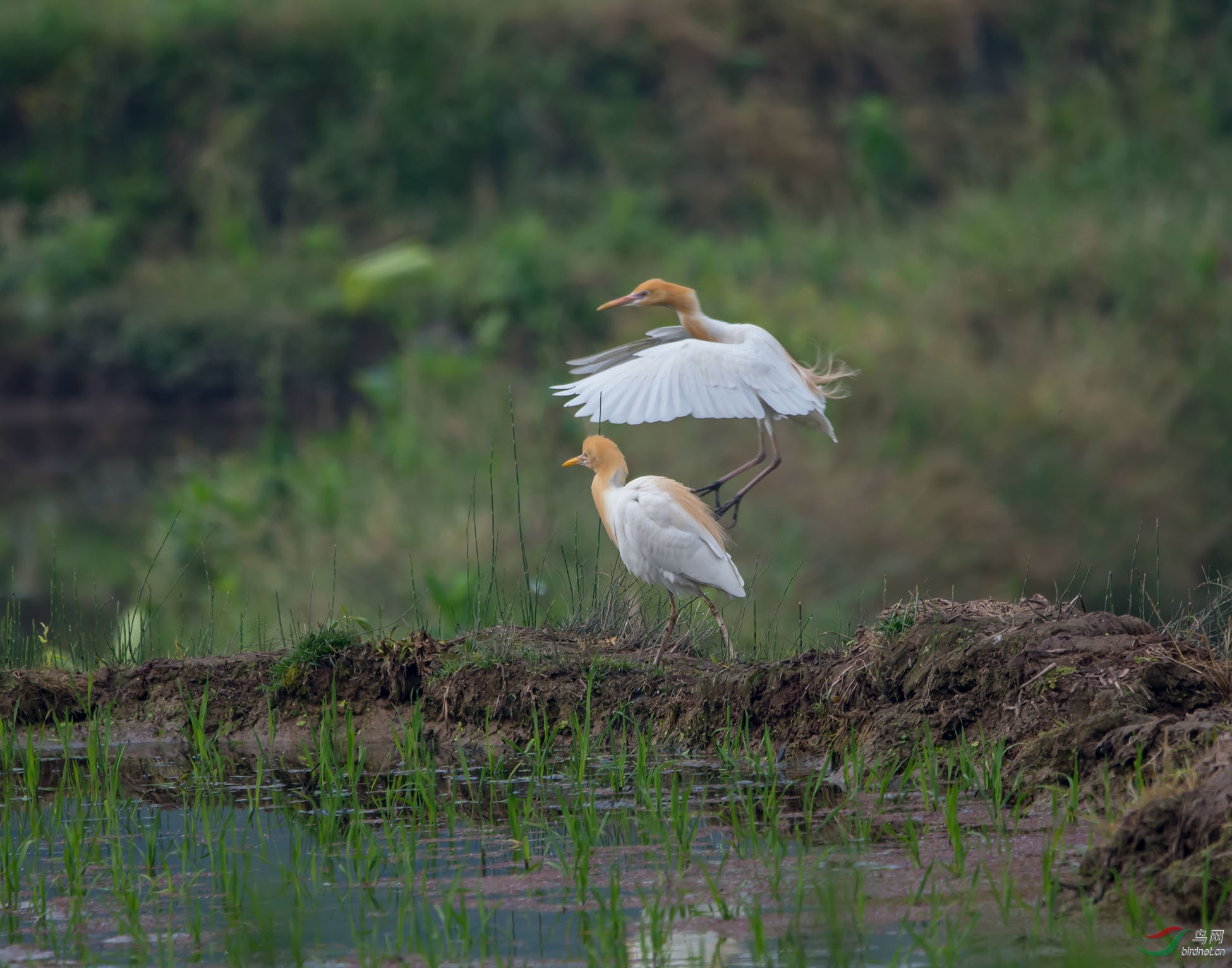 DSC_2884.jpg