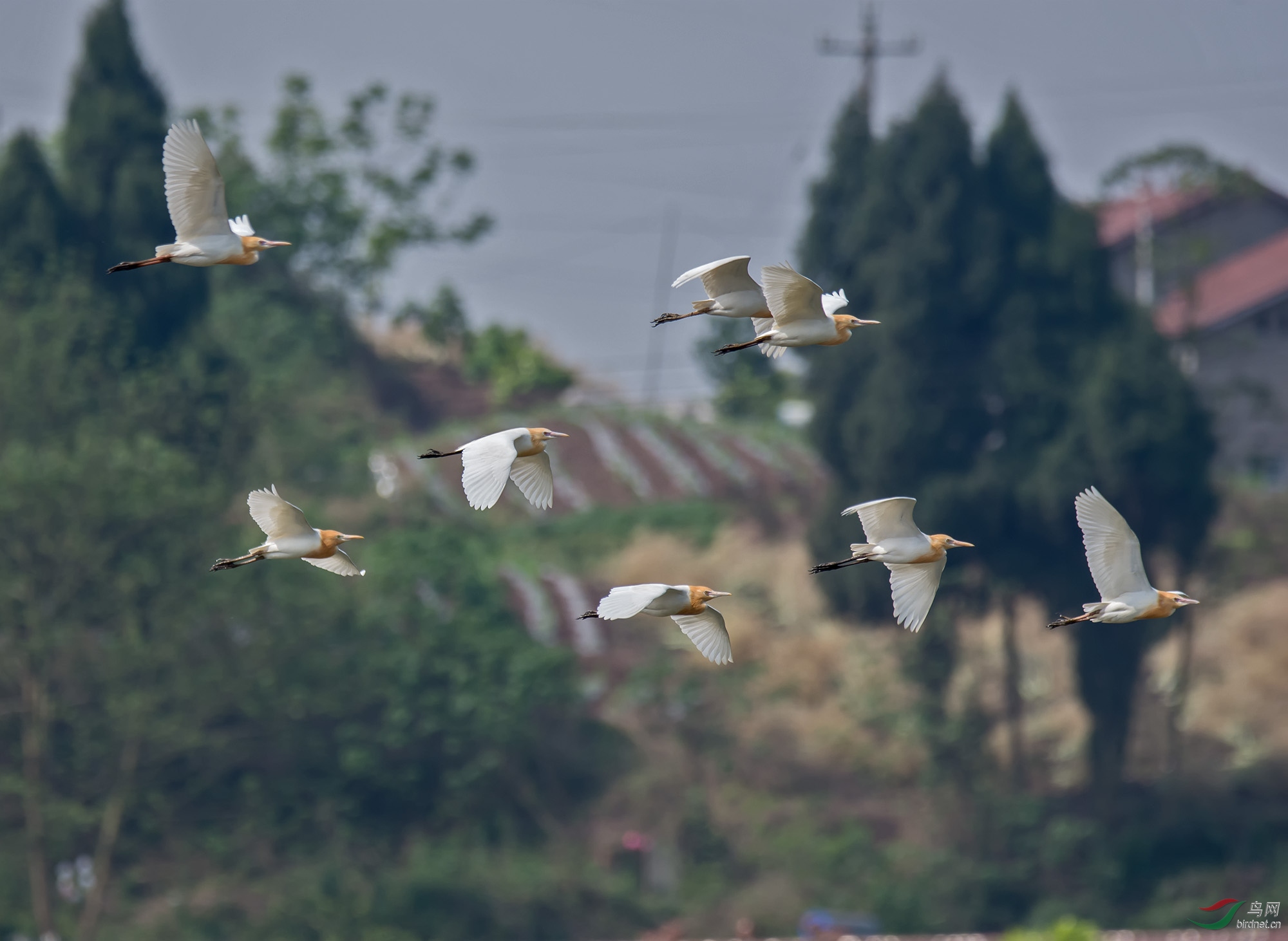 DSC_3206.jpg