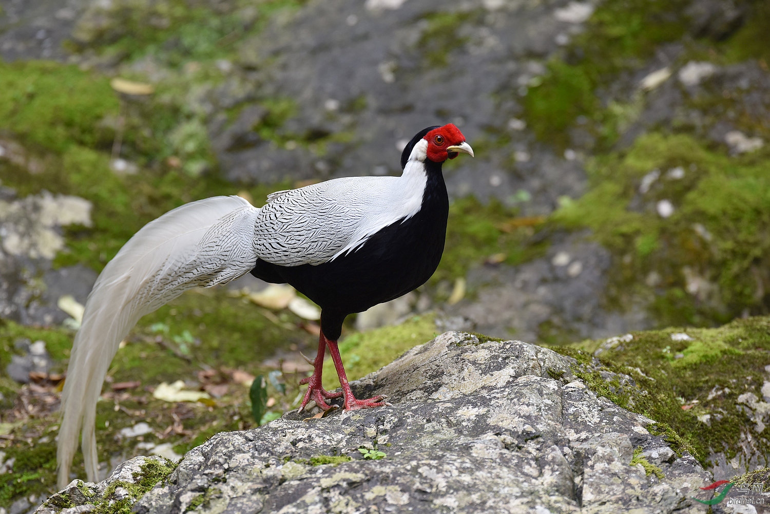 D8I_0567.jpg