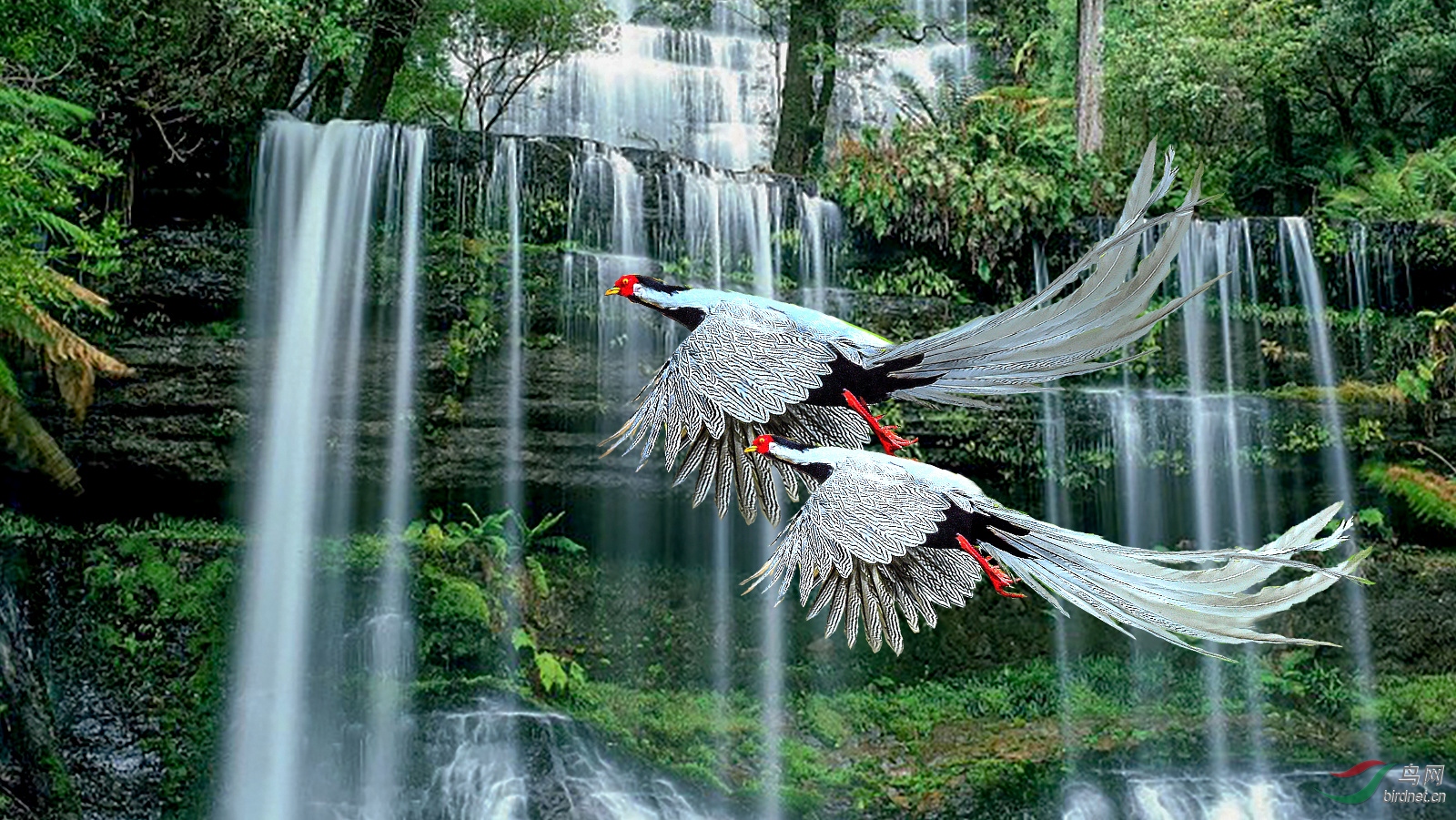 DSC_1699_���� (8)_����_����_����_����_����_����.jpg