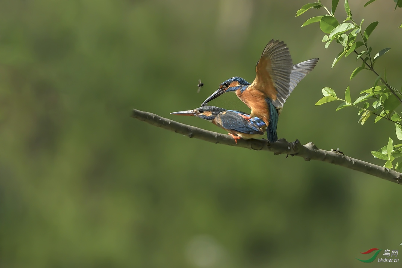 DSC_8105-2.jpg