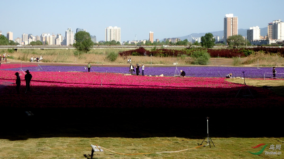 P4252862.jpg