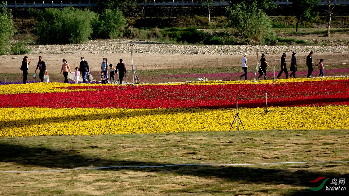 P4252863.jpg