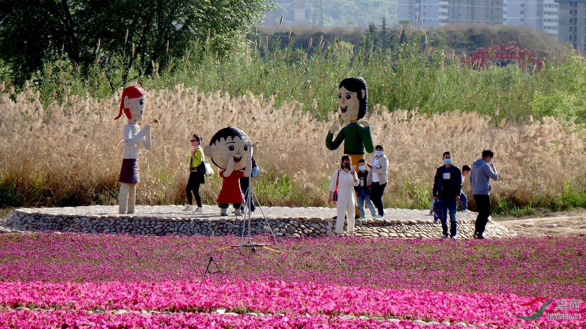 P4252858.jpg