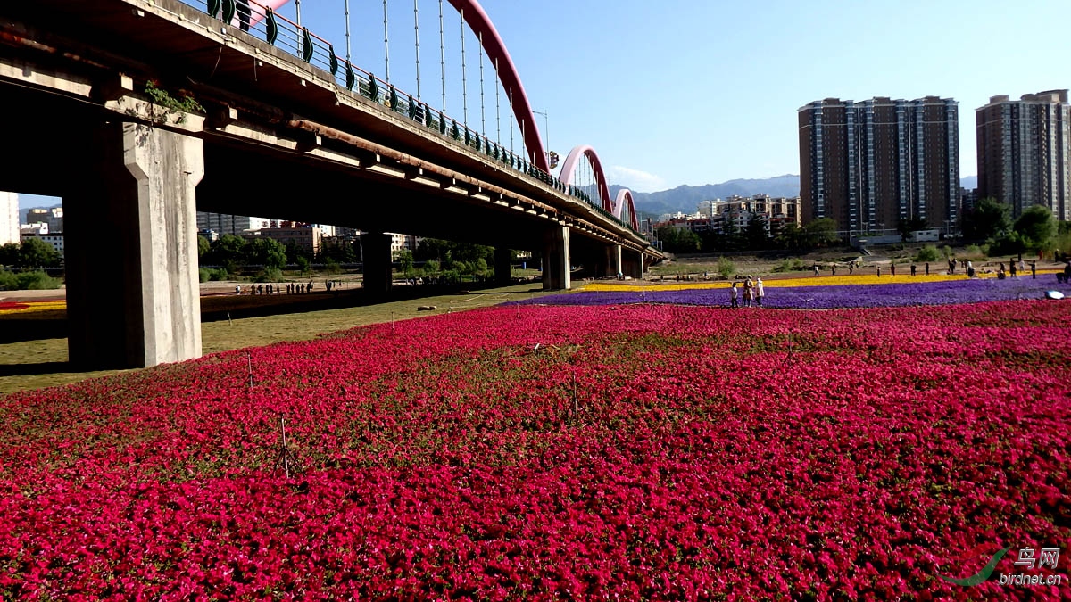P4252861.jpg