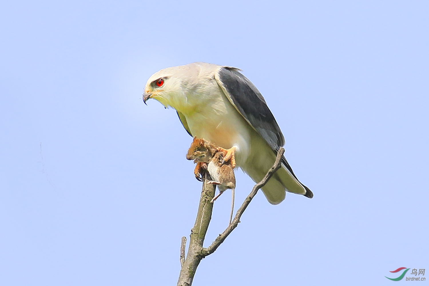 3D1A5661.JPG