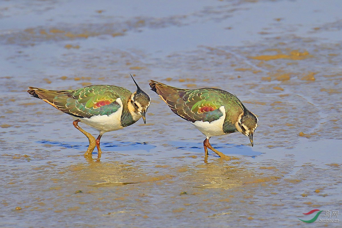 3D1A5869.JPG