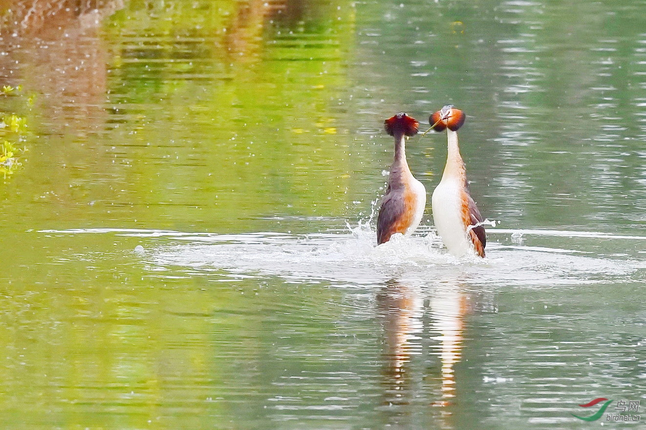 DSC_6060.JPG