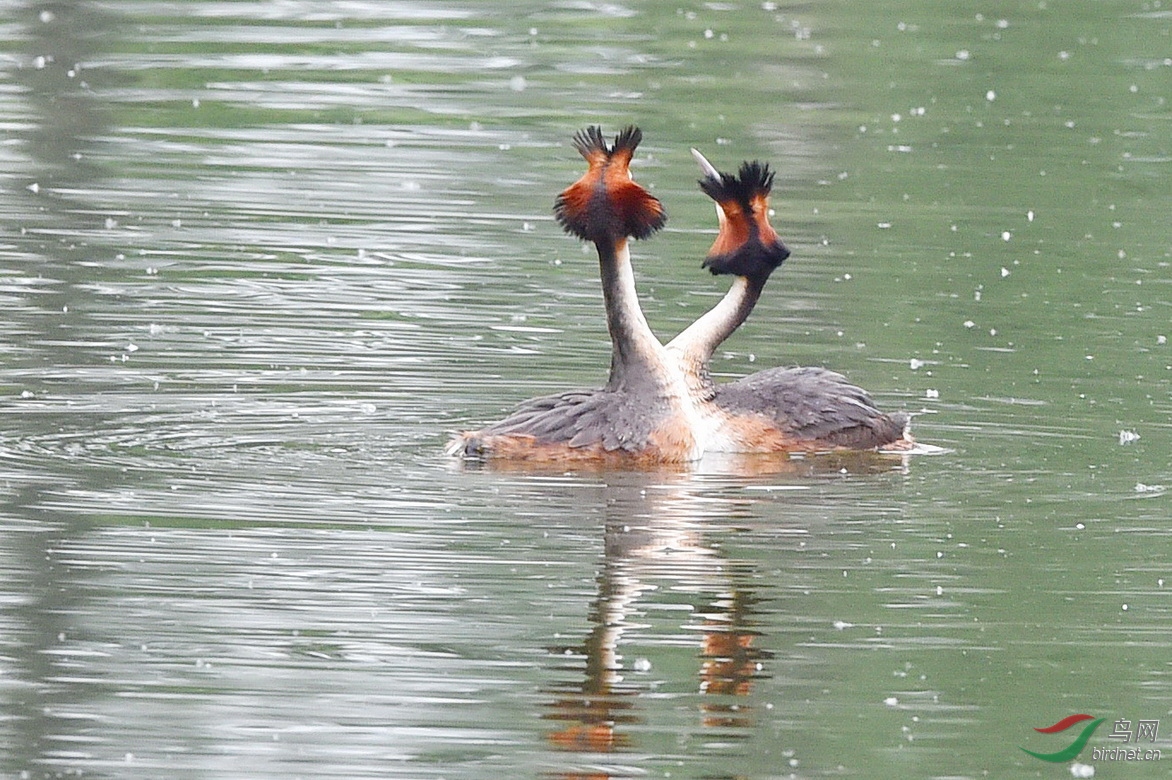 DSC_6645.JPG