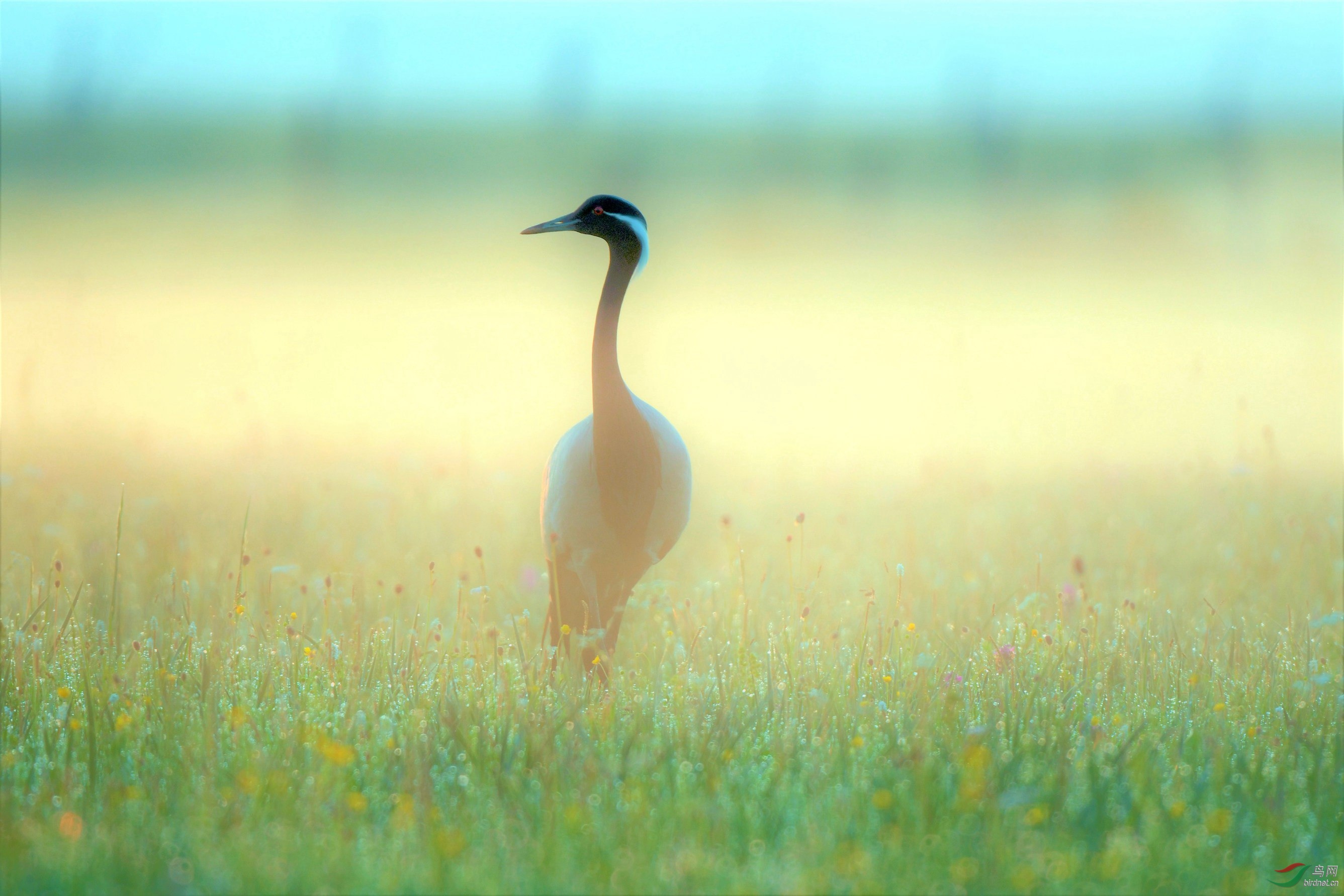 �峿����е������ ����.jpg