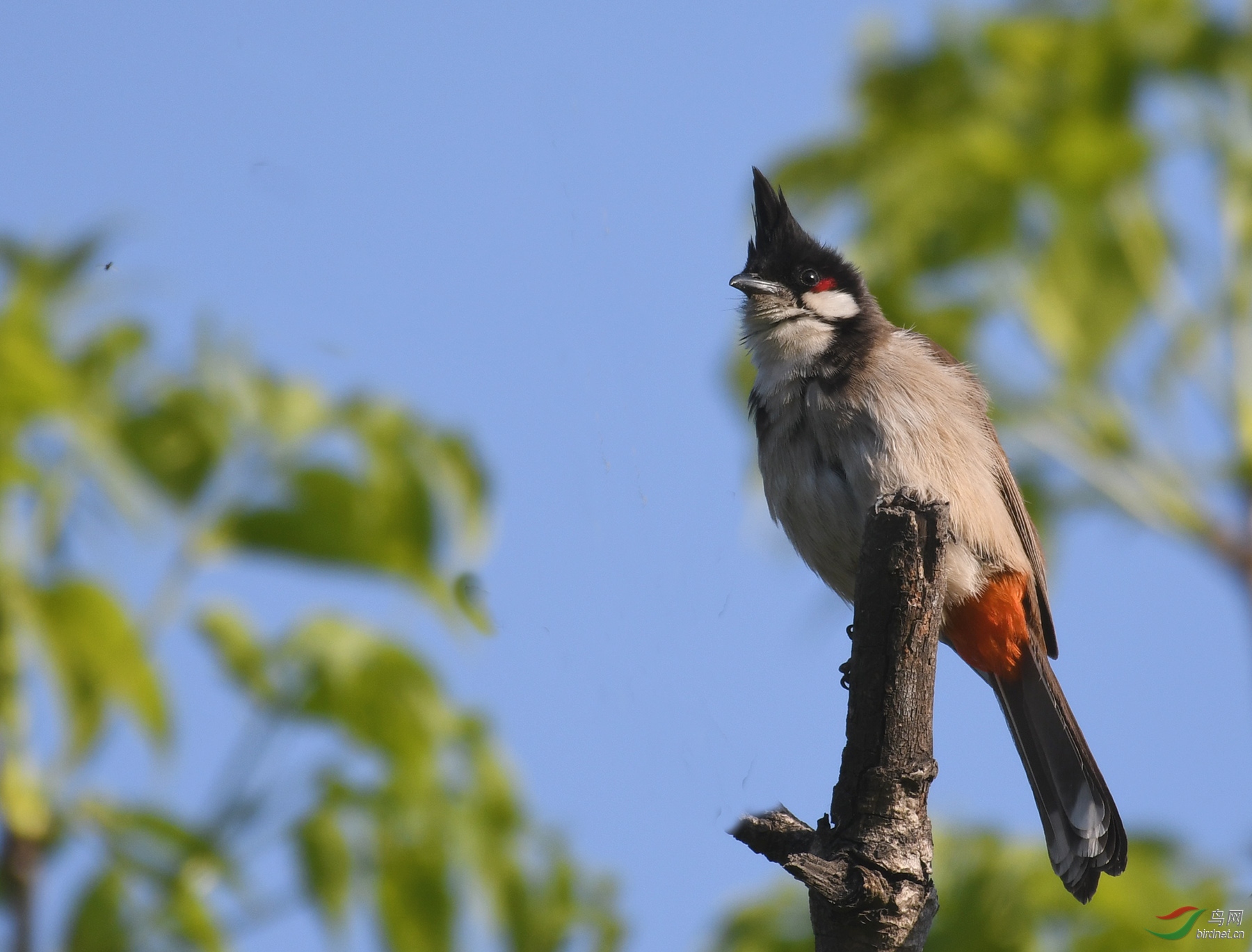 ������Ӱ 053����.jpg