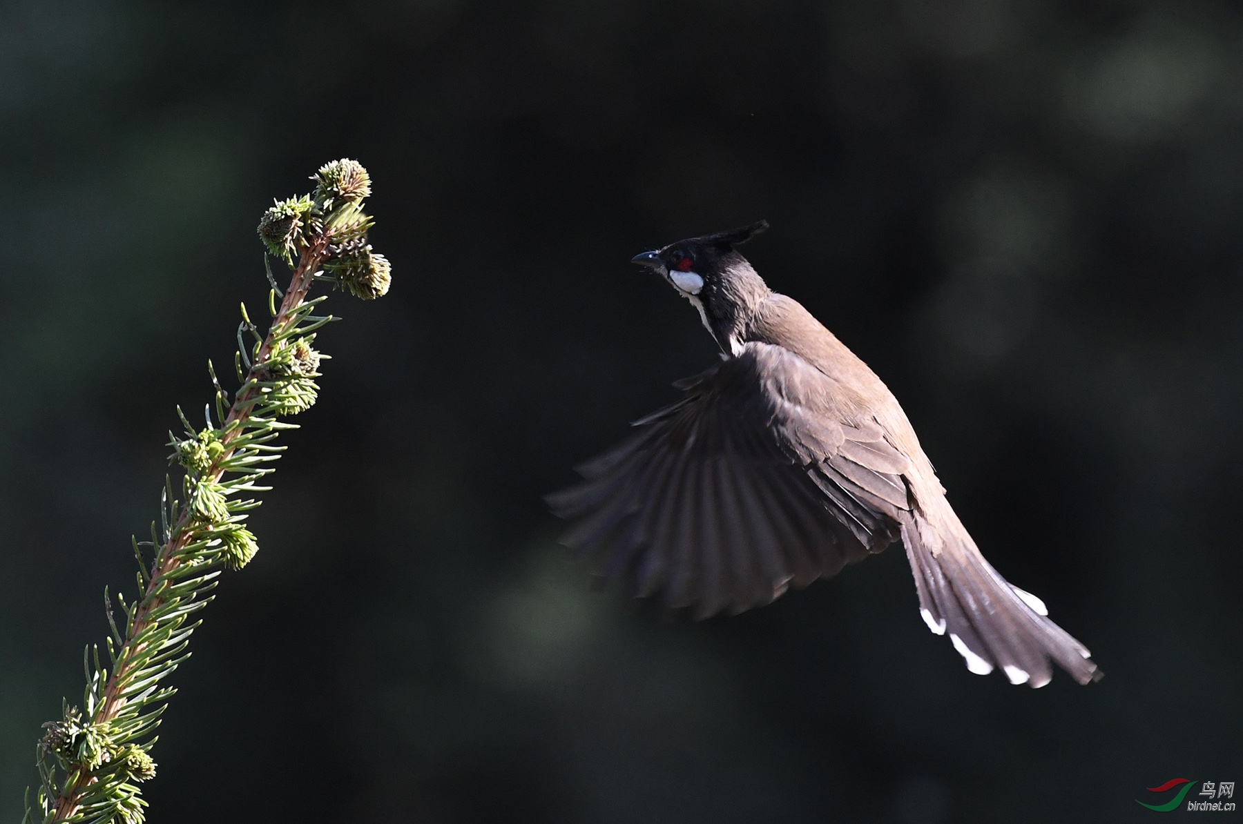 ������Ӱ 498����.jpg