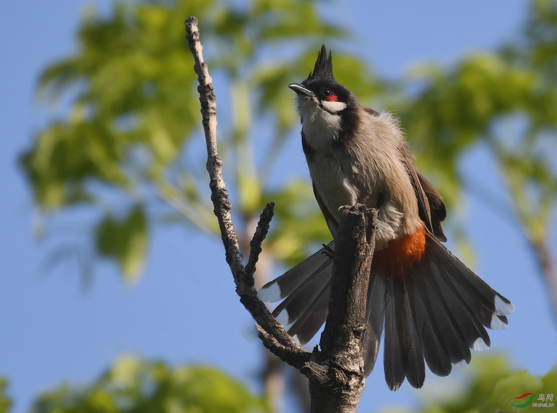 ������Ӱ 113����.jpg