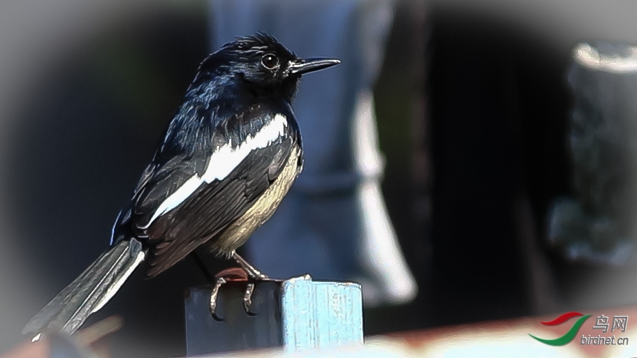 ˭������