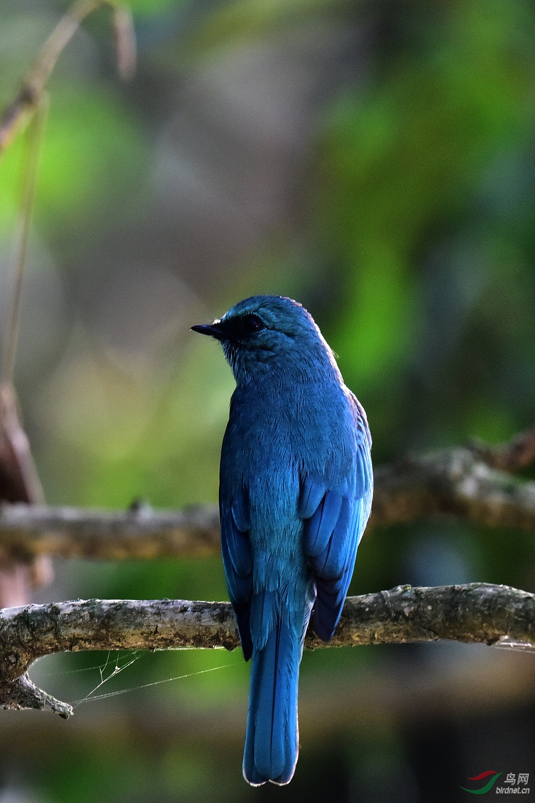 DSC_0595.JPG