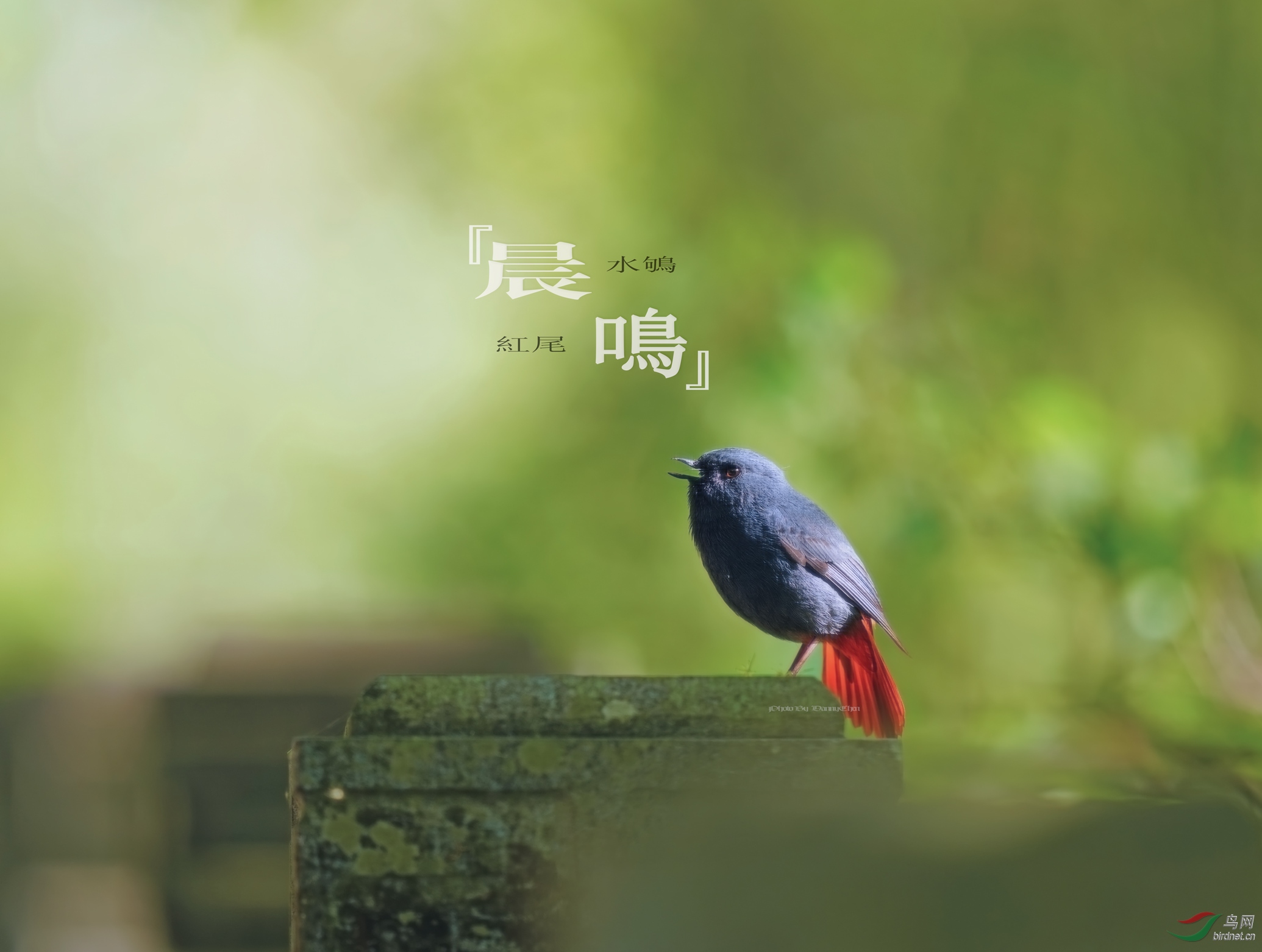 �����ĺ�βˮ�