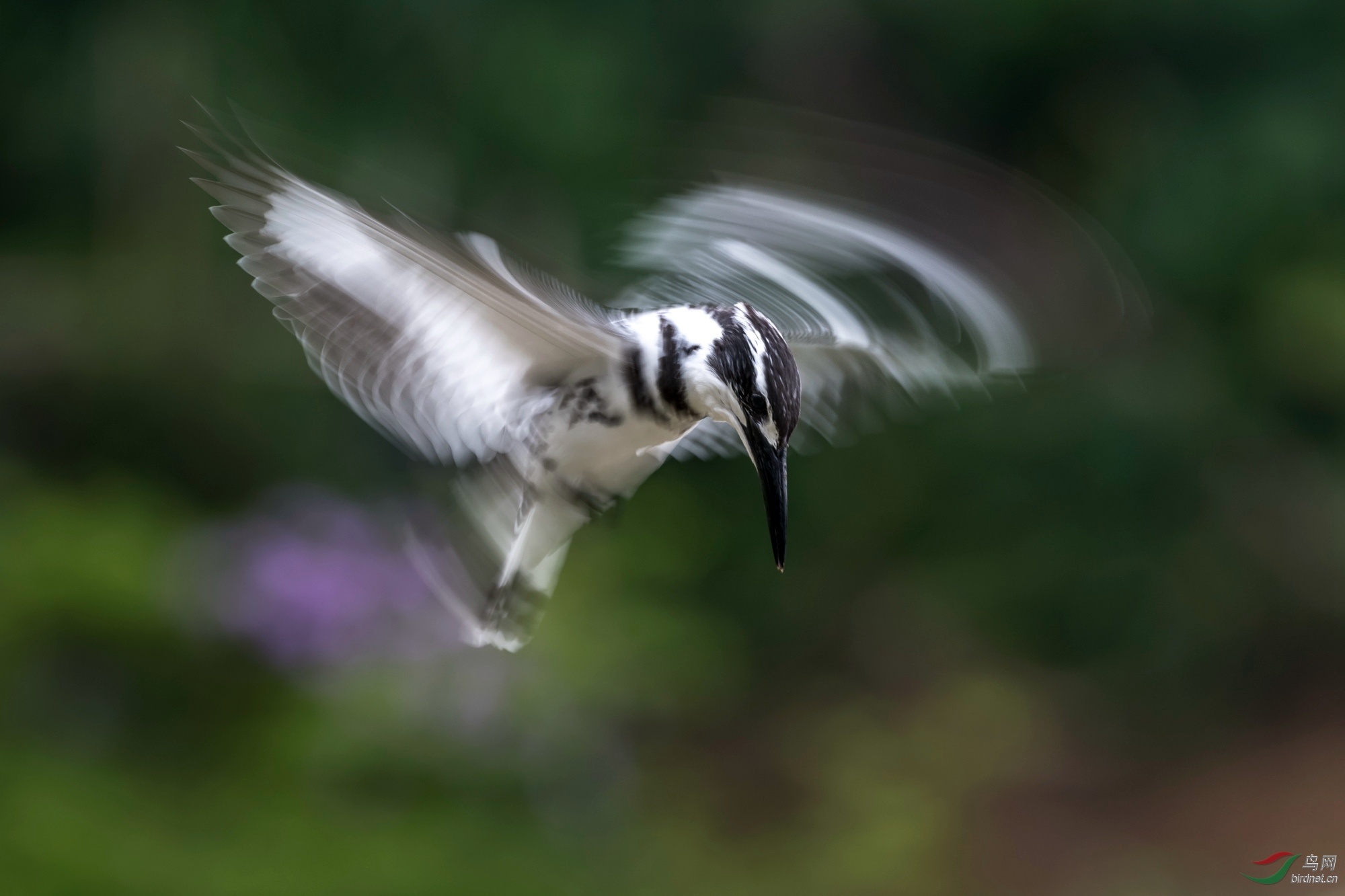 ��λ-���㹷