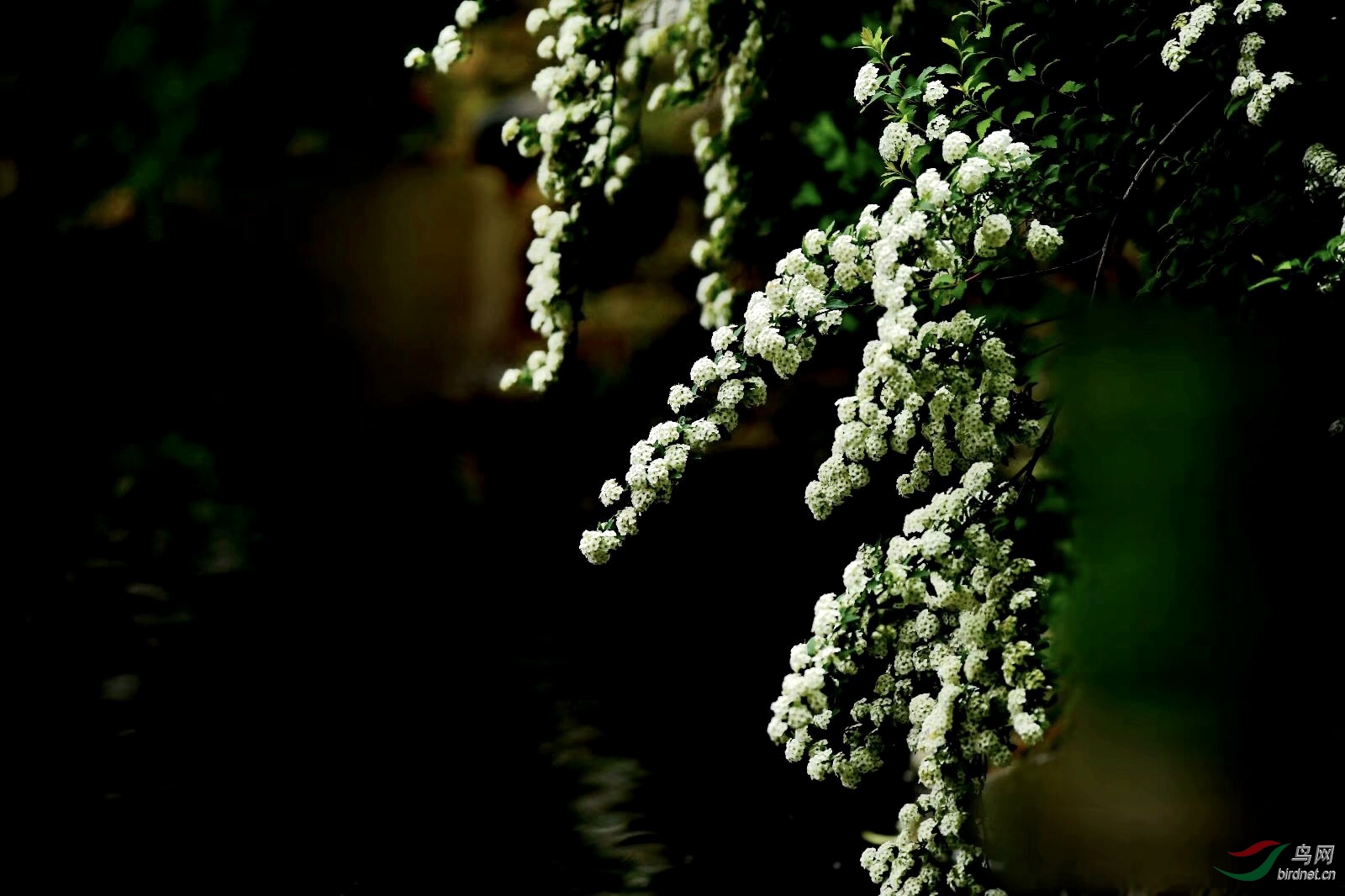 53BE9D84-F1BA-4F1B-8F9C-F33A8763EE31.jpeg