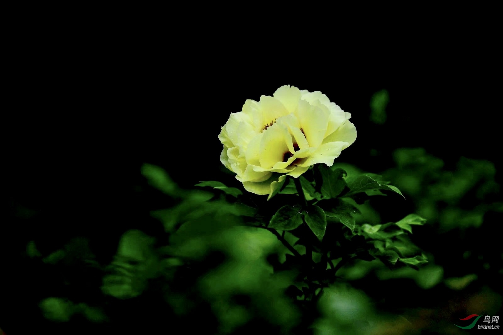 EF2B19F4-9D92-4A8F-AB5E-E782DE593457.jpeg