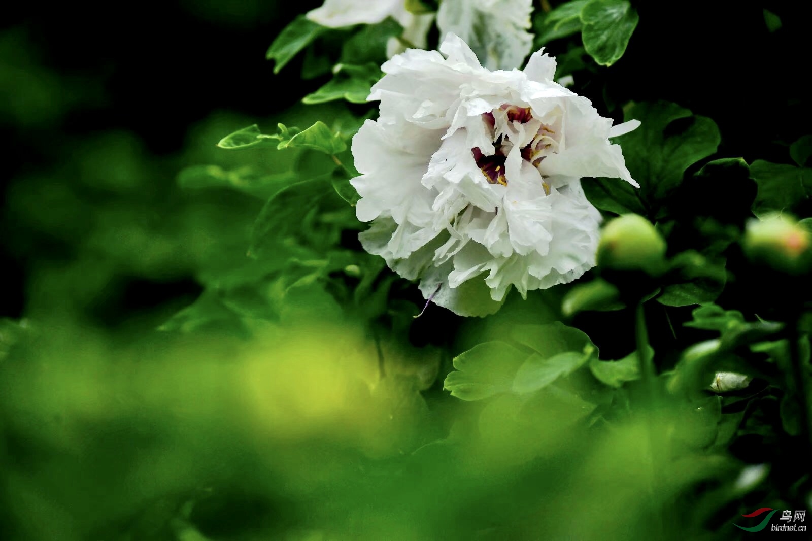 EBA533AE-584D-4DB5-87BE-FE06D0AED89C.jpeg