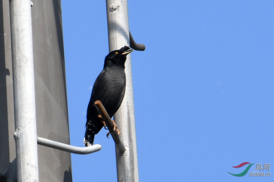 D50_2089.jpg