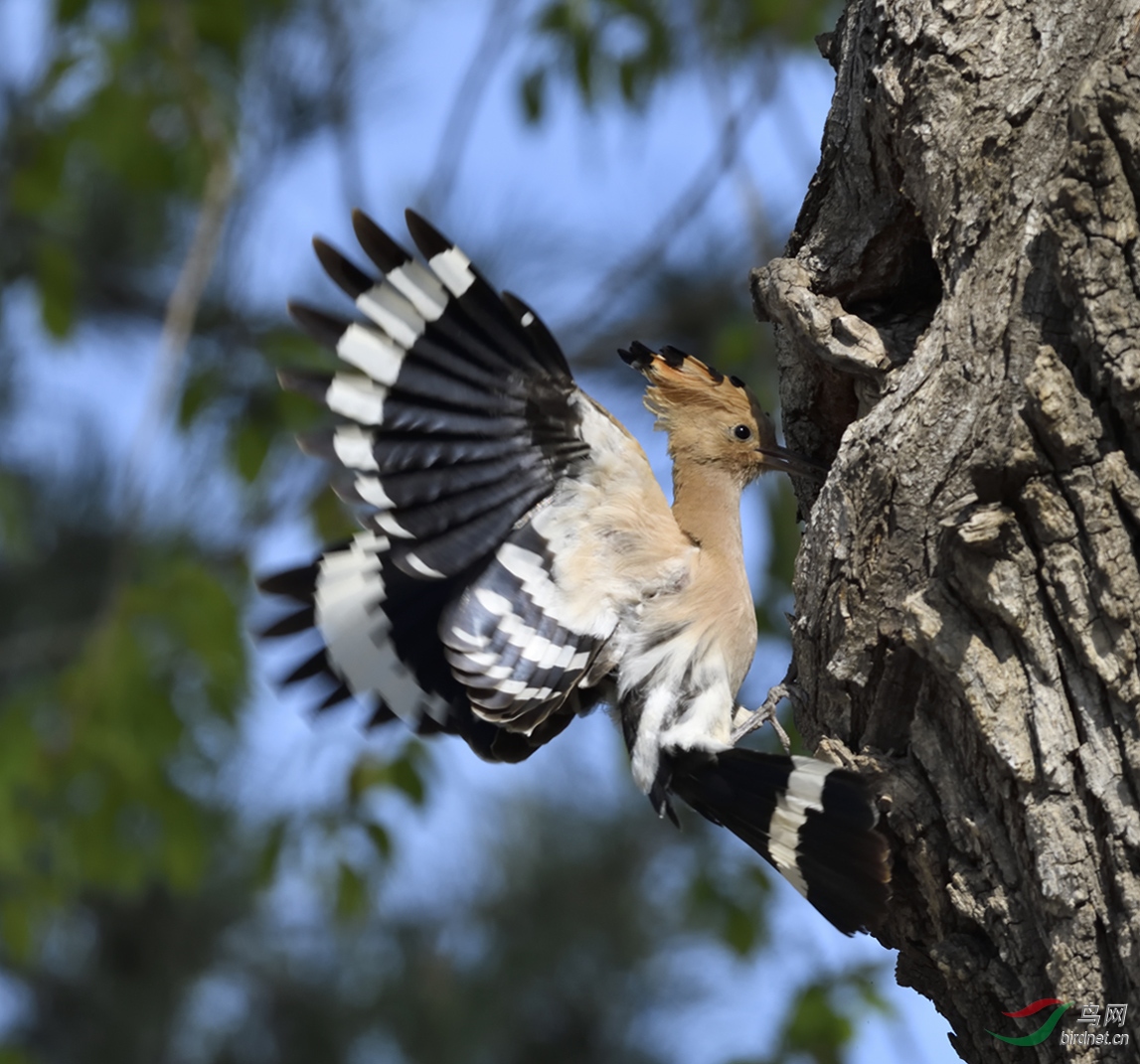_DSC0048_00001-p-02.jpg