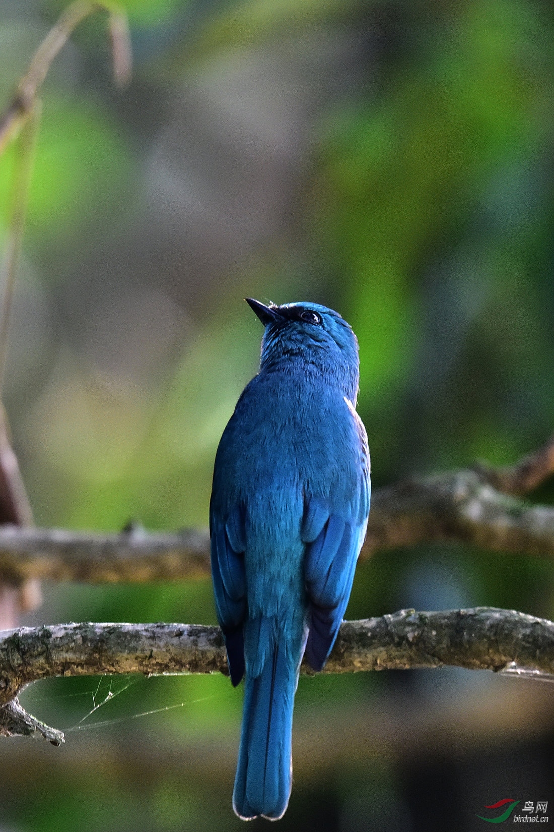 DSC_0599.JPG