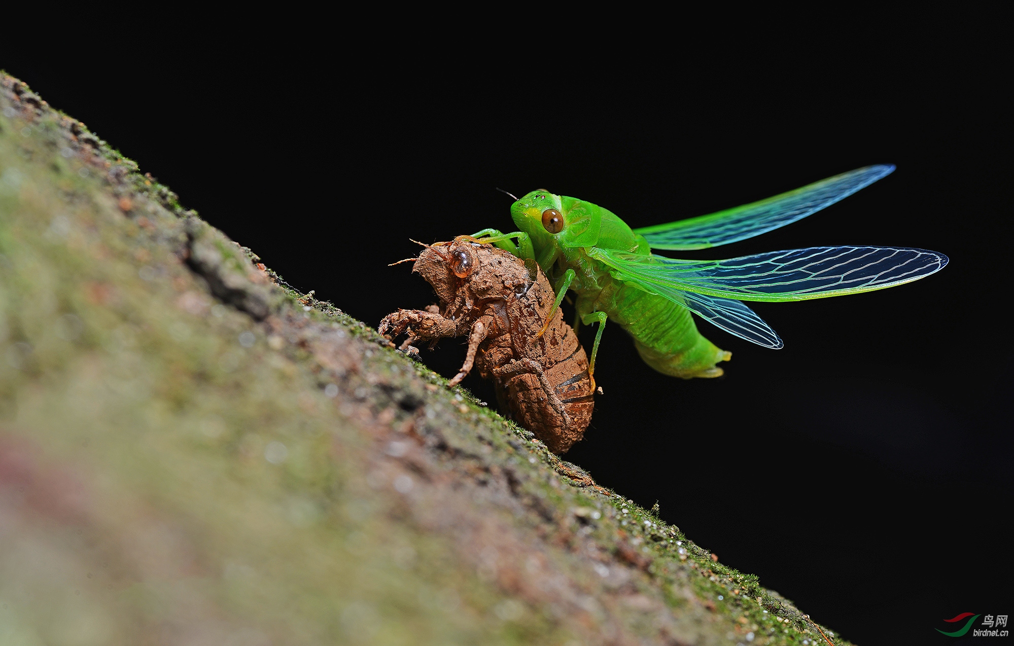 DSC_26241.jpg
