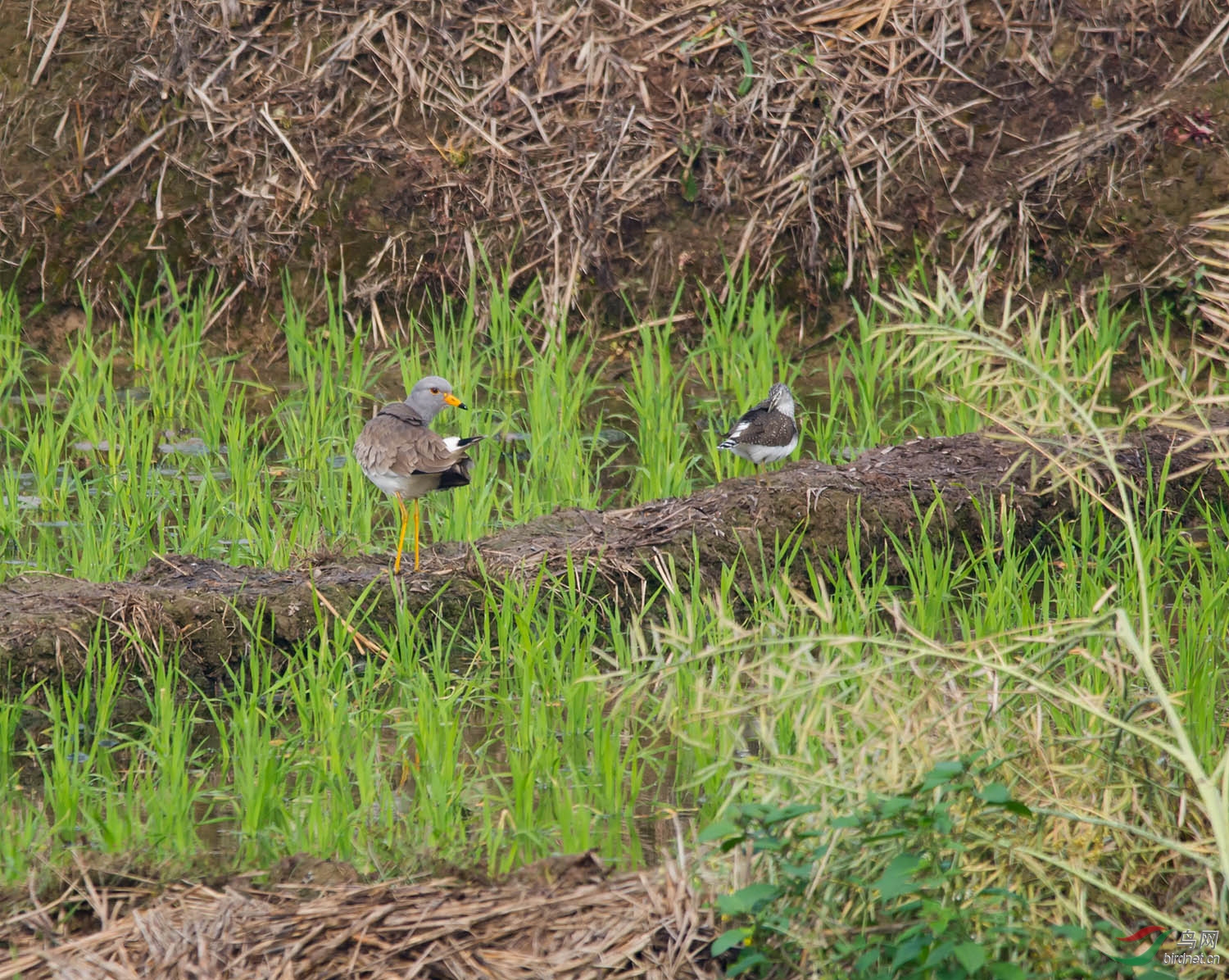 DSC_2794.jpg