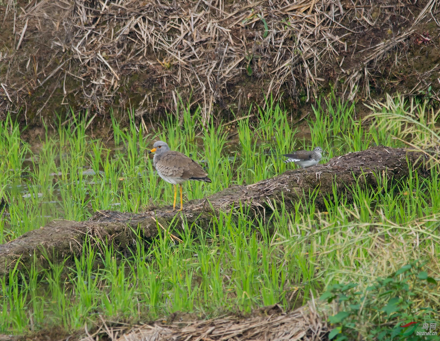 DSC_2849.jpg