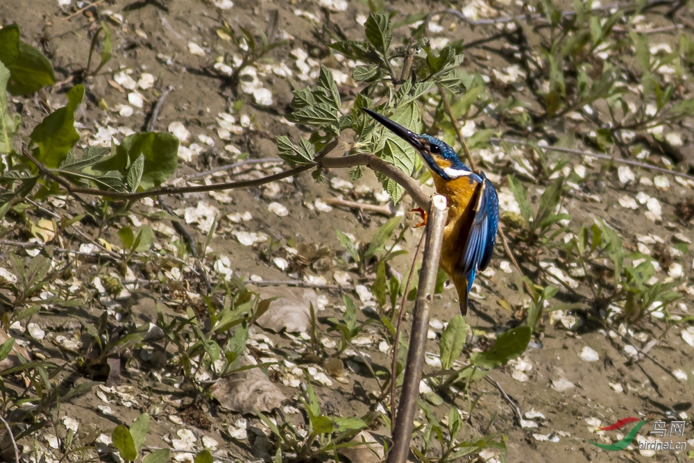 _MG_6486_MG_6486.jpg