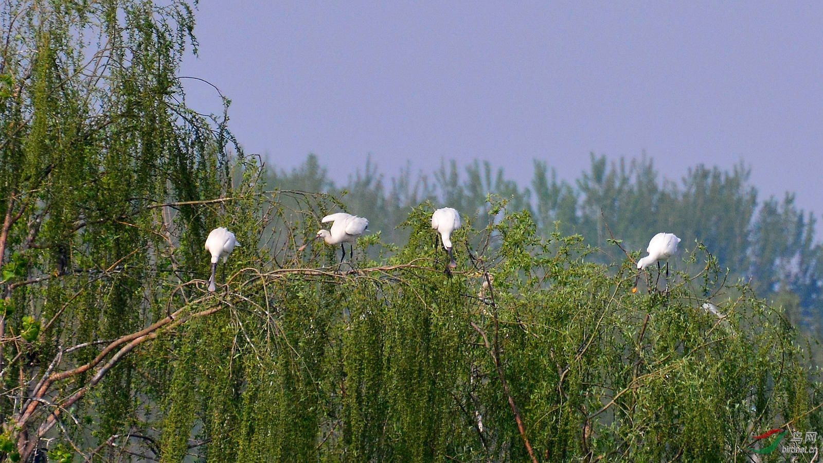 DSC_6283.JPG