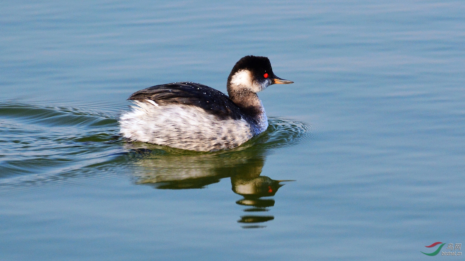 DSC_6250.JPG