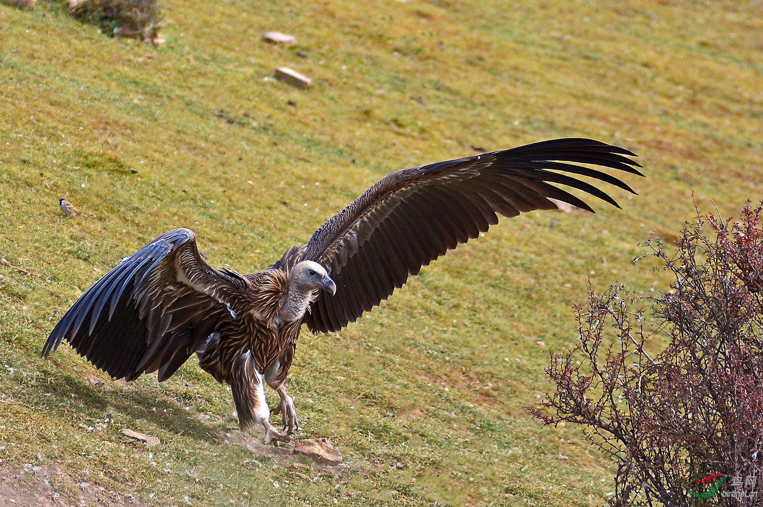 DSC_9714.JPG