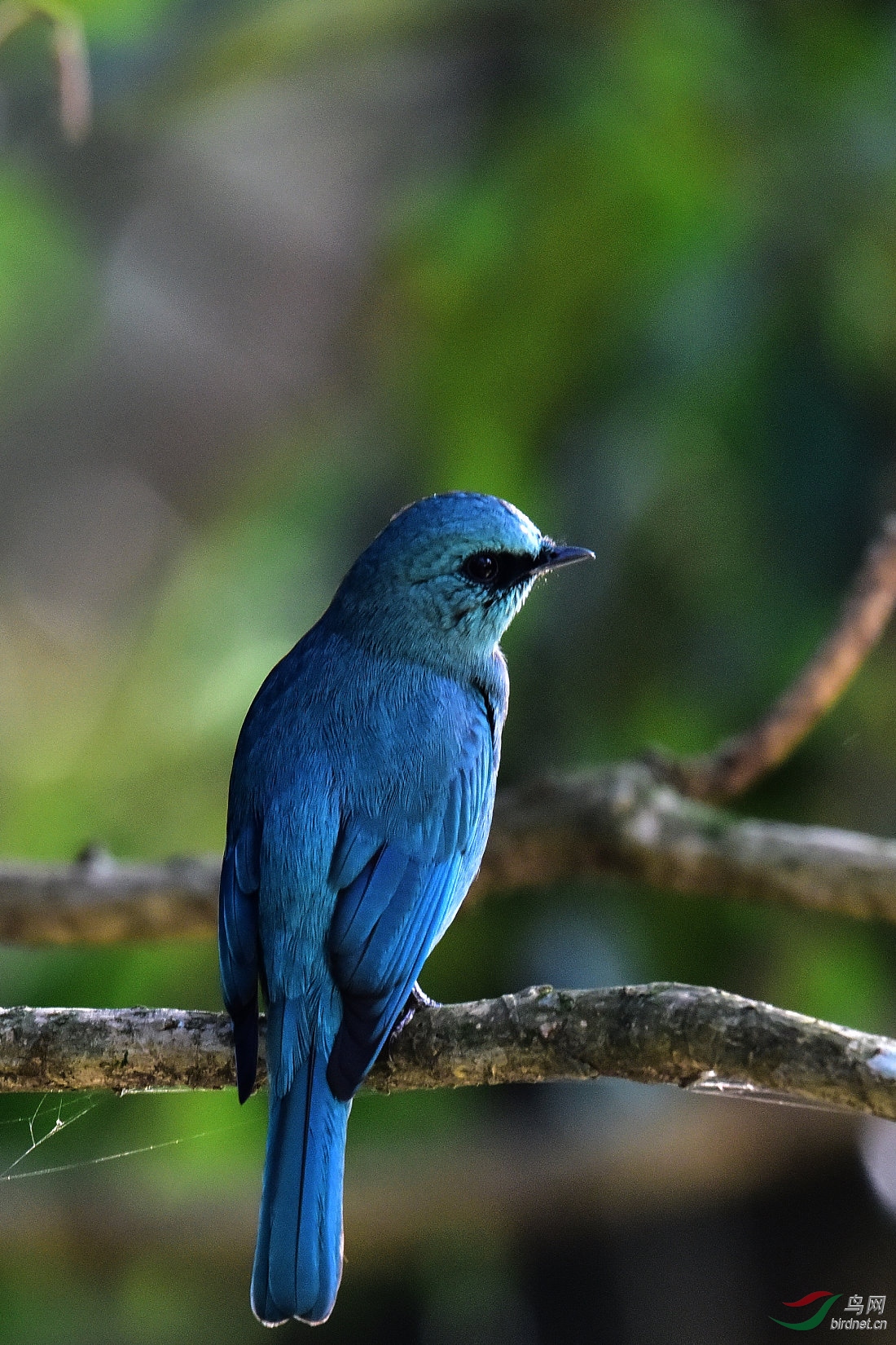 DSC_0601.JPG