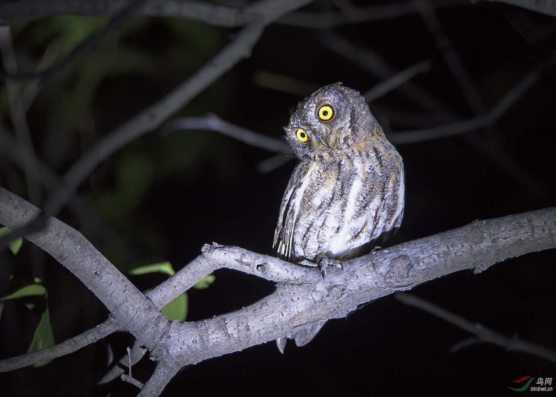 DSC_3546.jpg