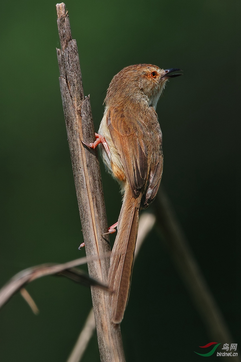 6b.jpg
